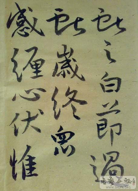 20081209614.jpg