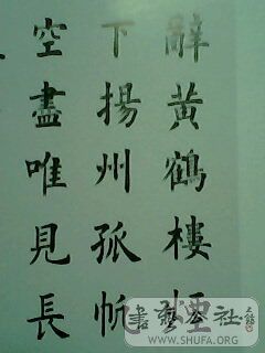 IMG0239A.jpg