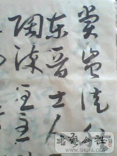 IMG0495A.jpg