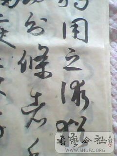 IMG0497A.jpg