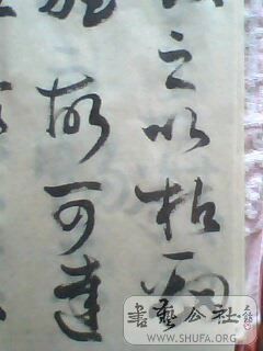 IMG0506A.jpg