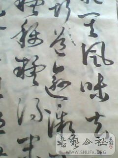 IMG0496A.jpg