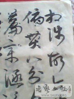 IMG0499A.jpg