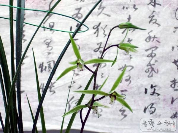 Զ黭ͼƬ1 026.jpg