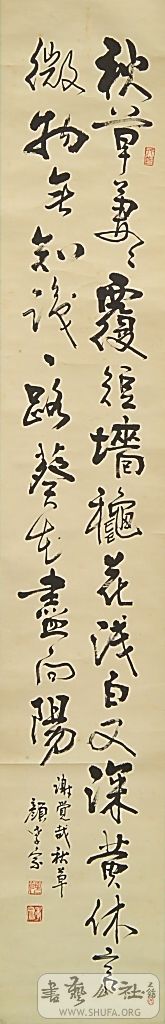 鷨4.JPG