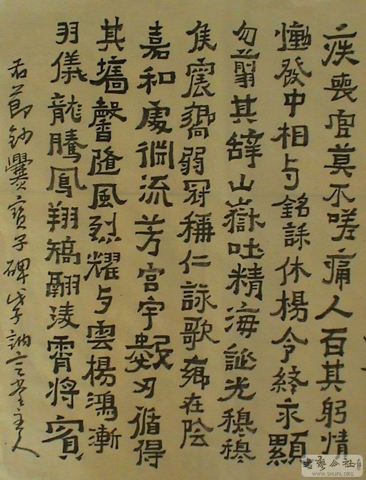 DSC08378.JPG