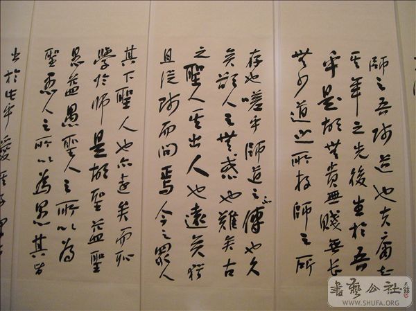 DSCN4849.jpg