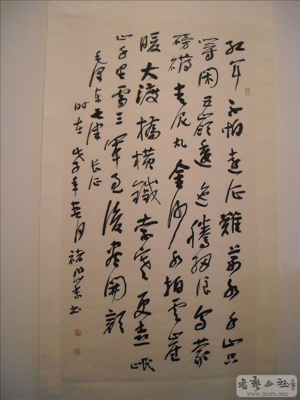 DSCN4835.jpg