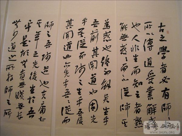 DSCN4848.jpg