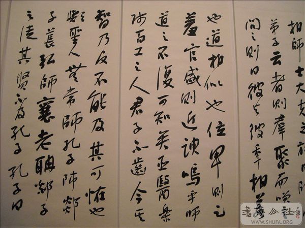 DSCN4852.jpg