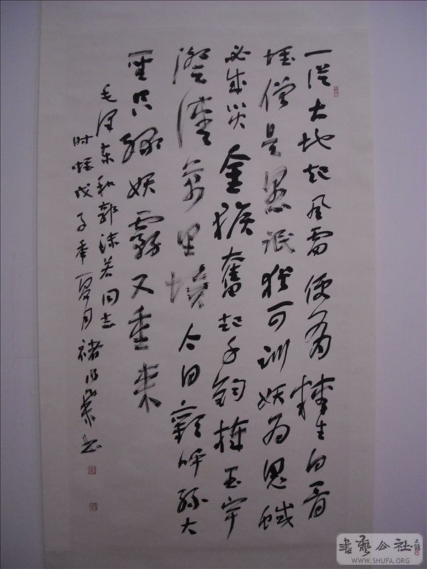 DSCN4905.jpg