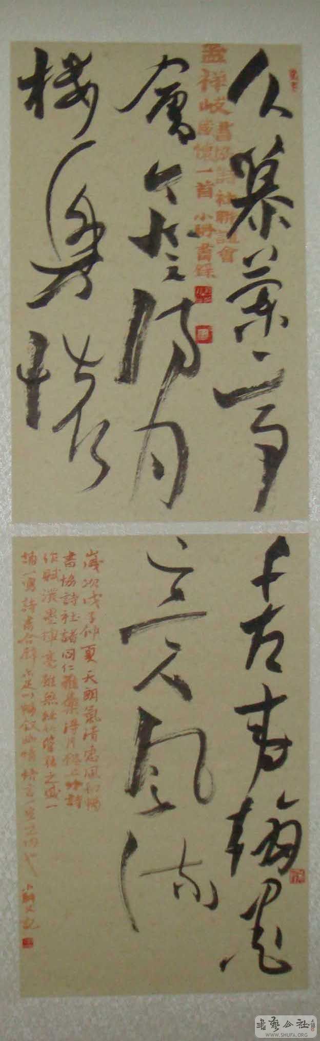 СƷ