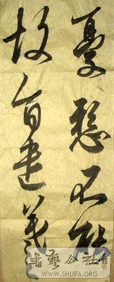 IMG_7808.jpg