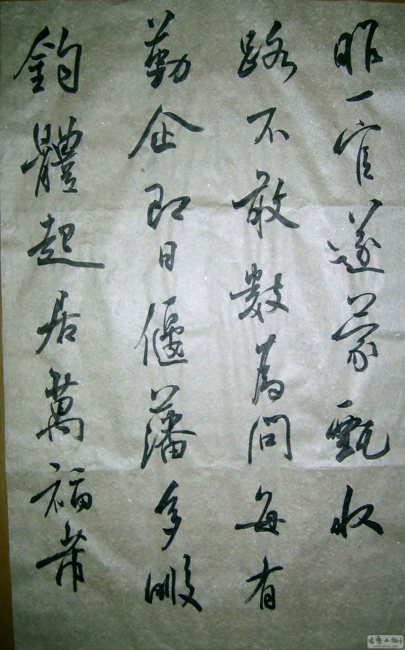 S5007558.JPG