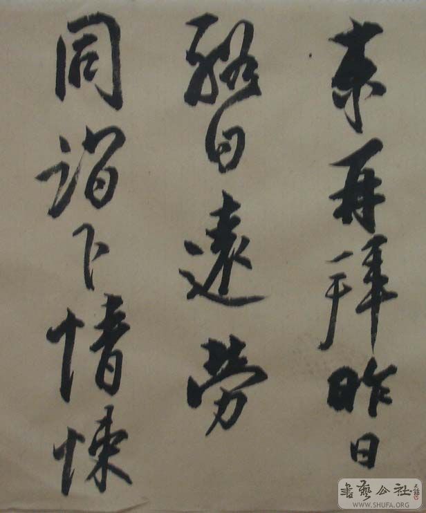 DSC06742.JPG