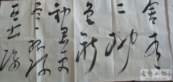 DSC01118.JPG