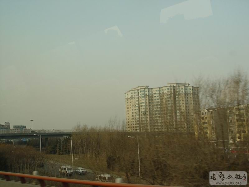 DSC02142.JPG