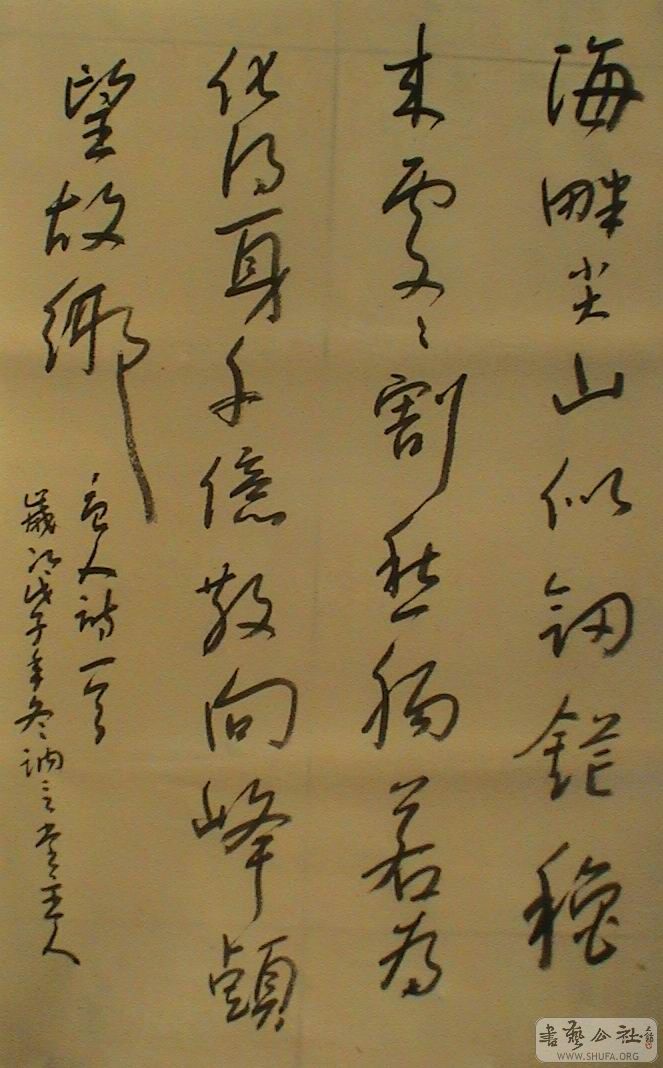 DSC08422.JPG