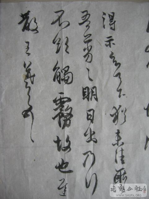 Ƭ 023.jpg