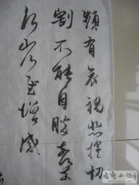 Ƭ 022.jpg