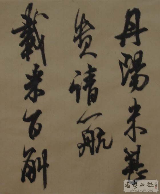 DSC06895.JPG