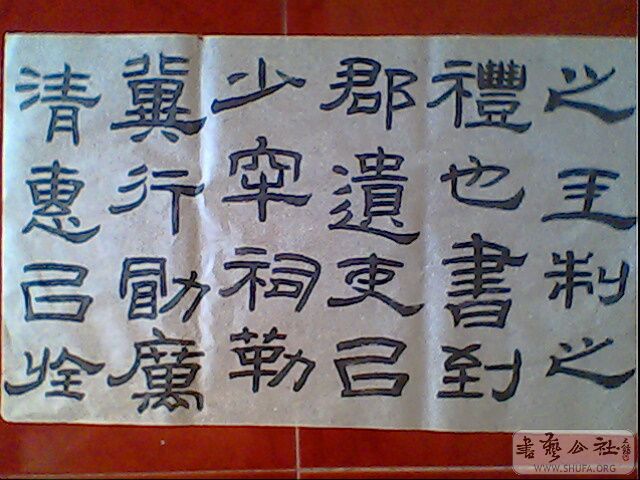 IMG2137A.jpg