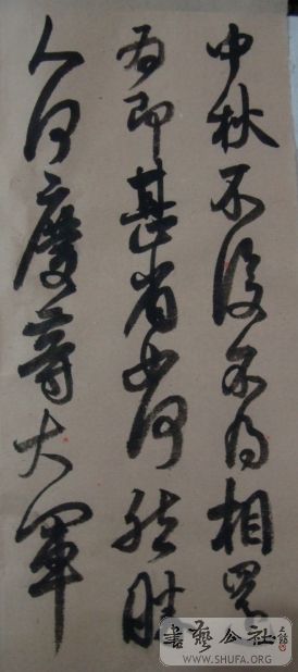 DSC02132.jpg