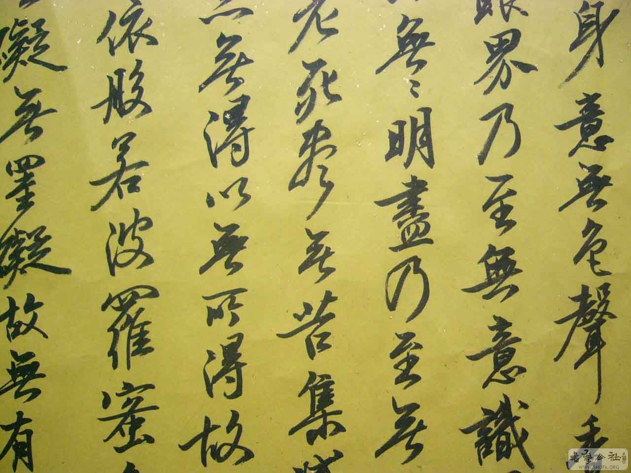 122.JPG