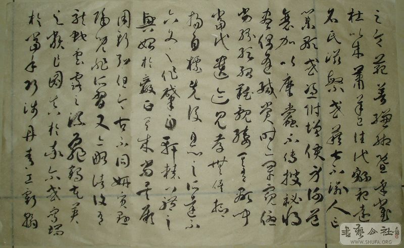 P1010211.JPG