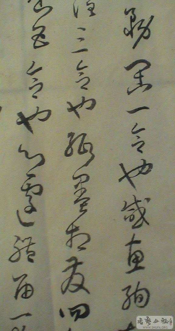 DSC08457.JPG
