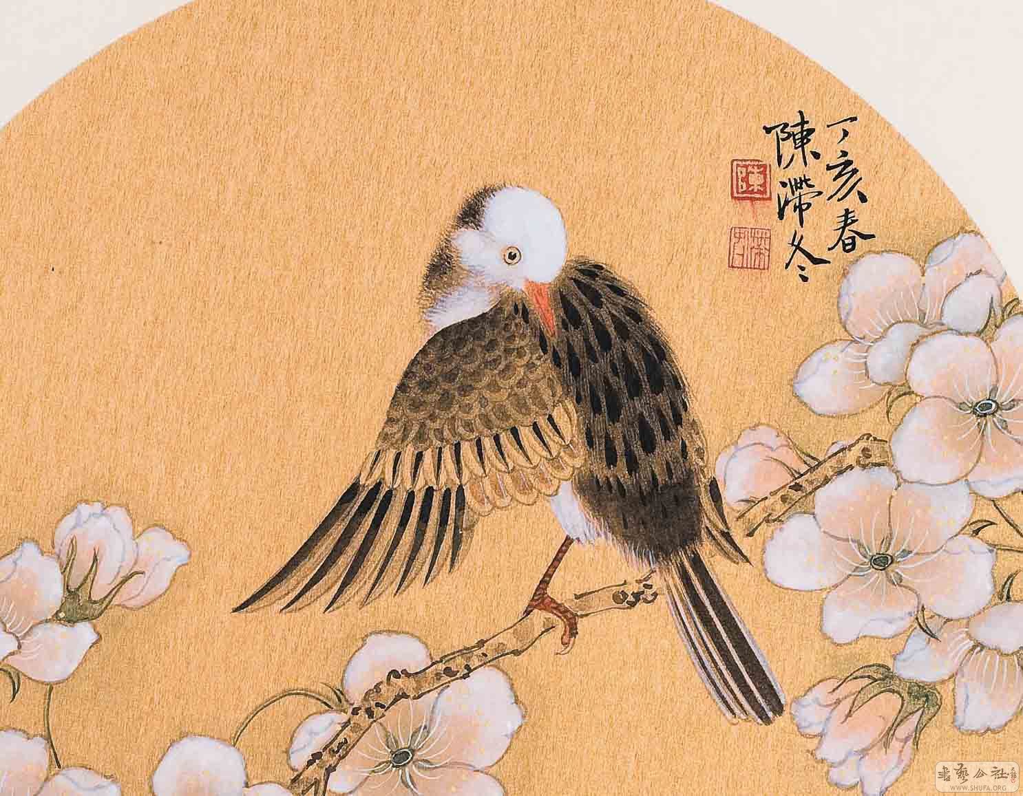 Ʒ9.jpg