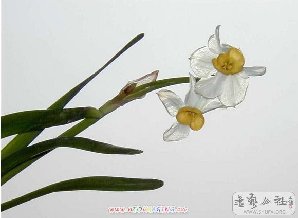 Ƭ 038.jpg