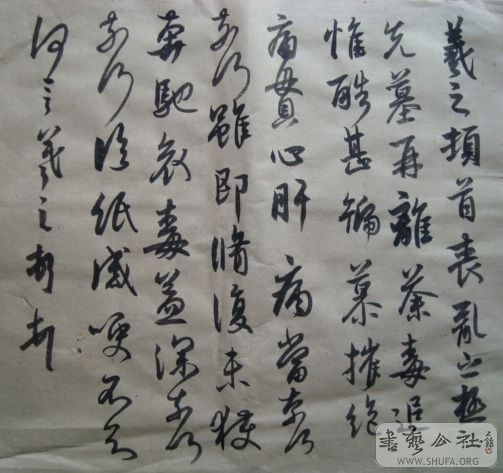 DSC02260.jpg