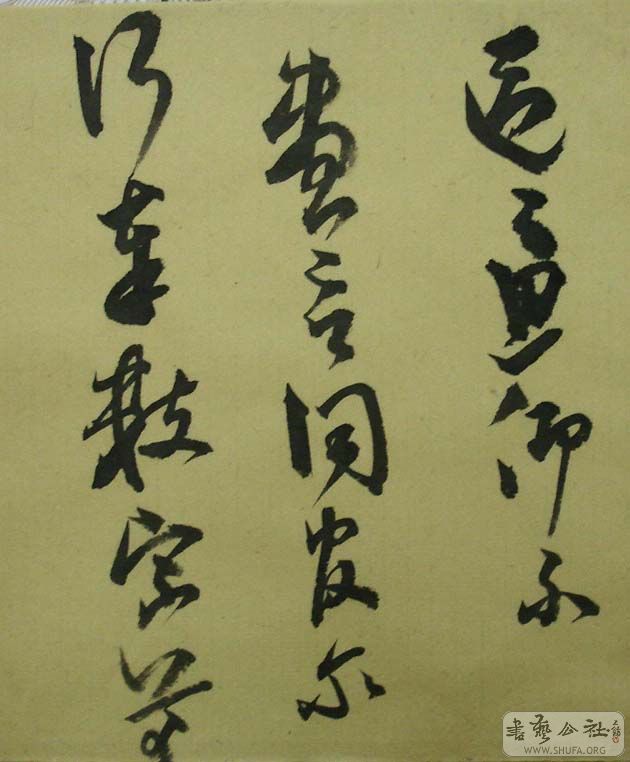 DSC06943.JPG