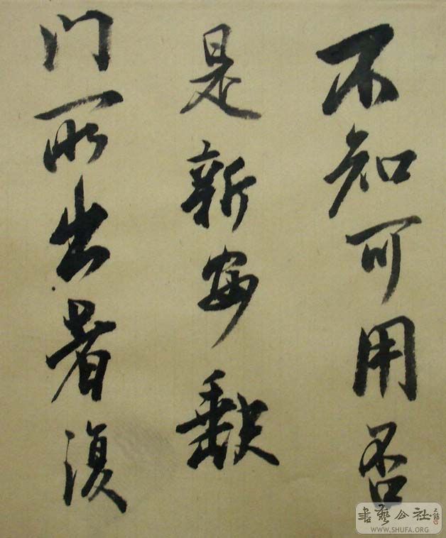 DSC06976.JPG