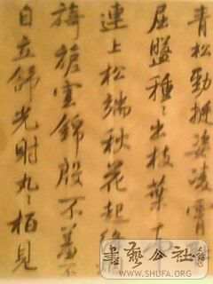 IMG0043A.jpg
