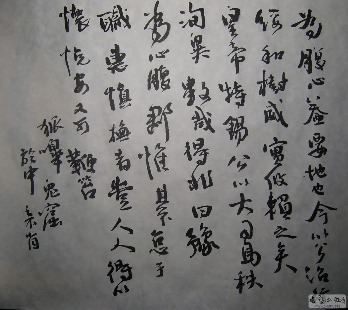ALIM3269.JPG