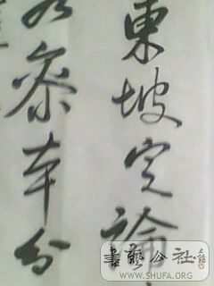 IMG0050A.jpg