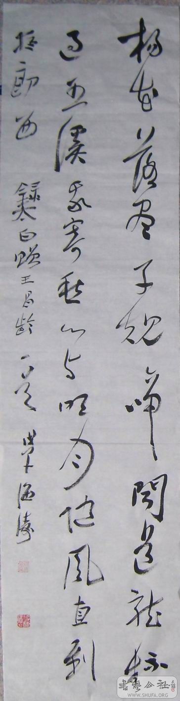 SL273024.jpg