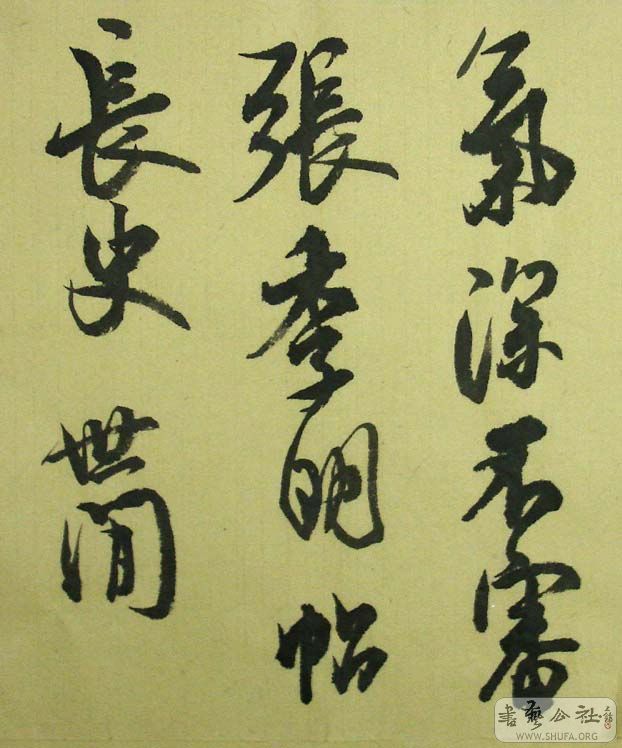 DSC07030.JPG