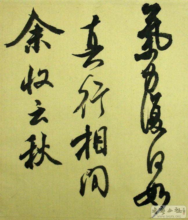 DSC07028.JPG