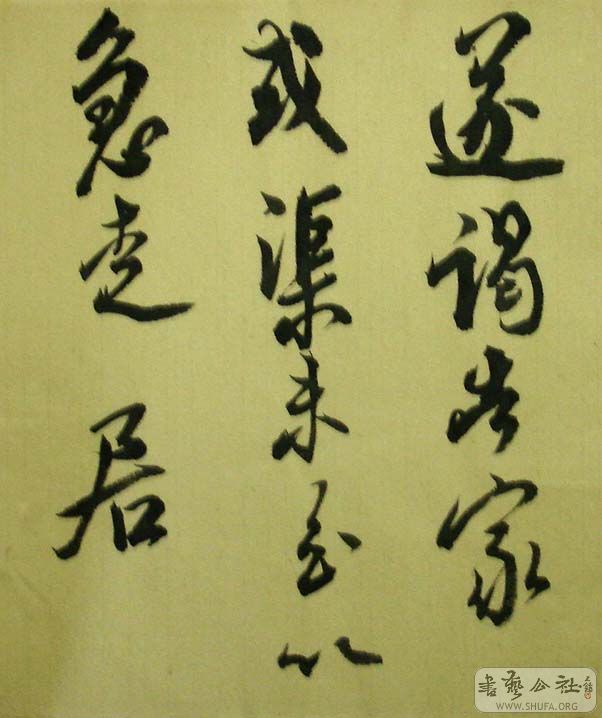 DSC07167.JPG