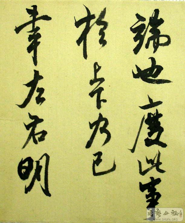 DSC07087.JPG