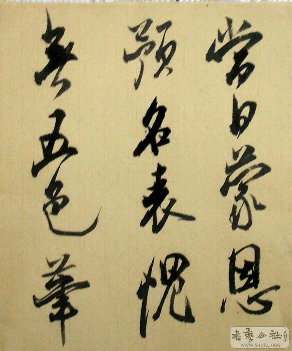 DSC07097.JPG