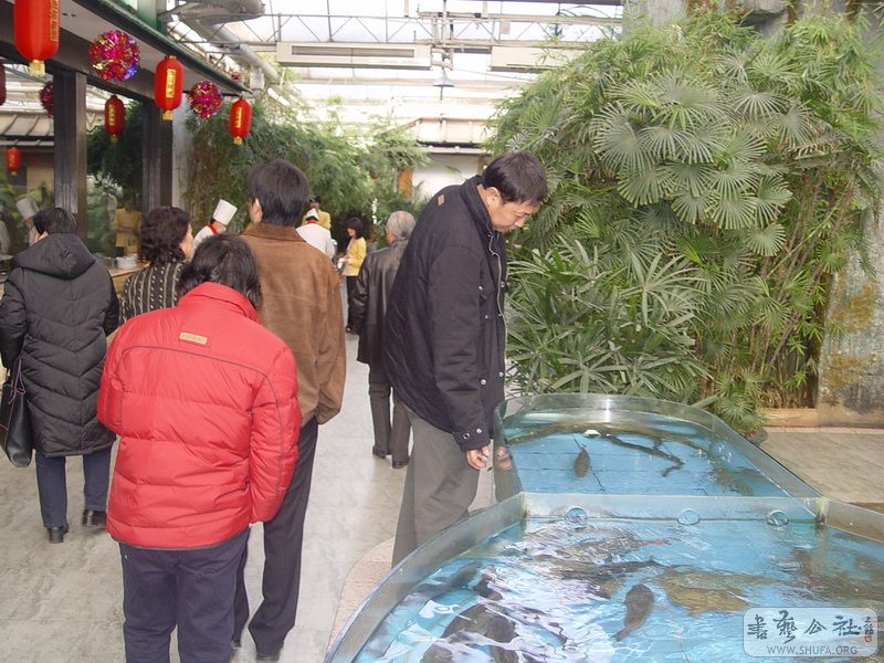 ڹ_193.JPG