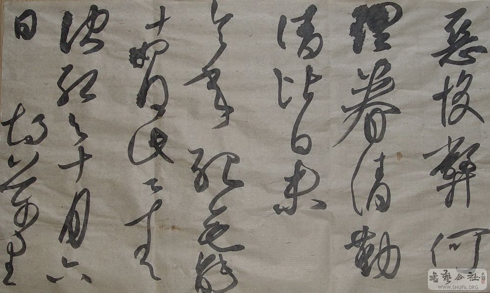 ŵ鷨_10.jpg