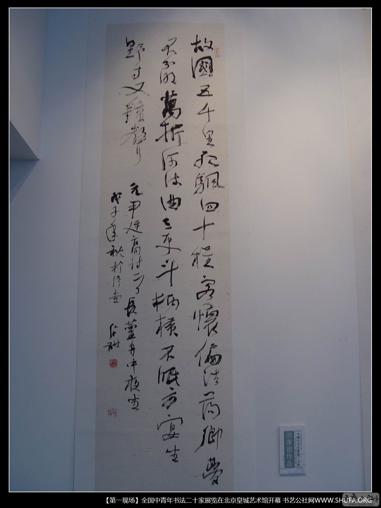 zp060.JPG
