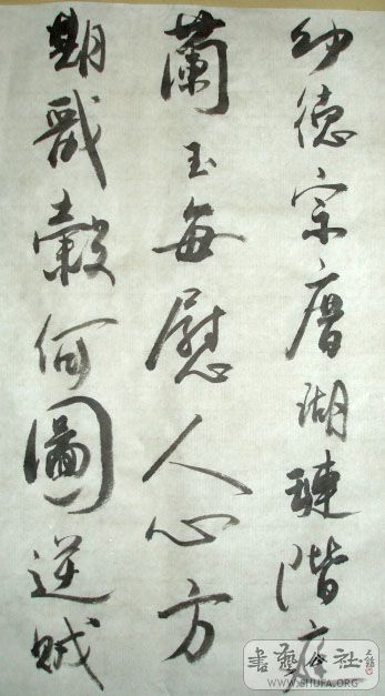 Ƭ 591.jpg