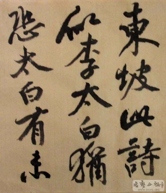 DSC07295.JPG