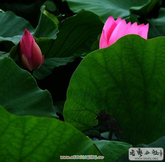 20090104_00a247bcc5e3da81781b1JhjSGzVRyJ6.jpg